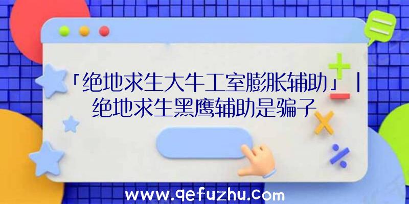 「绝地求生大牛工室膨胀辅助」|绝地求生黑鹰辅助是骗子